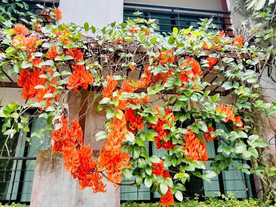 Wassana Sitdharma Guesthouse Trang Buitenkant foto