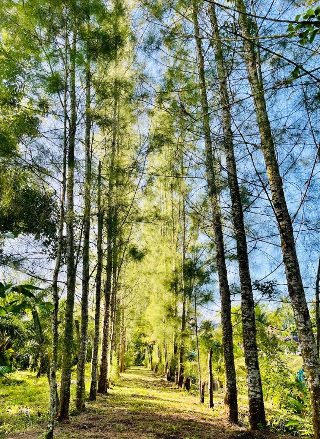 Wassana Sitdharma Guesthouse Trang Buitenkant foto